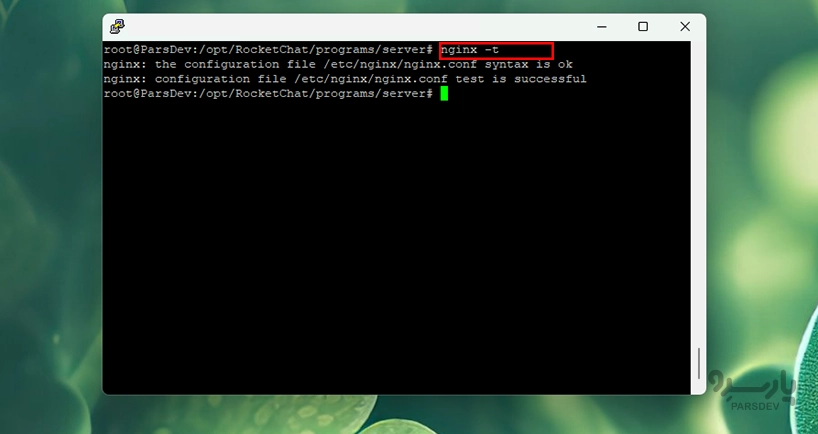 خروجی دستور nginx t