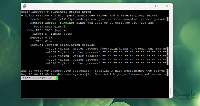 وضعیت nginx در نصب راکت چت