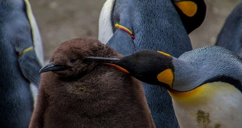 حذف دایرکتوری روت