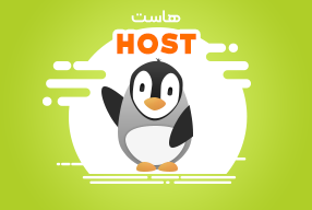 هاست وردپرس